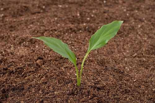 我國土壤修復(fù)行業(yè)盈利模式分析