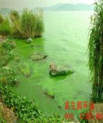 處理污水的磷、氮有幾種方法