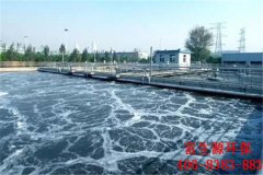 工業(yè)廢水和生活污水零排放技術(shù)電解法