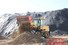 探討土壤重金屬危害及修復(fù)措施