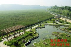 詳解人工濕地生活污水處理技術(shù)